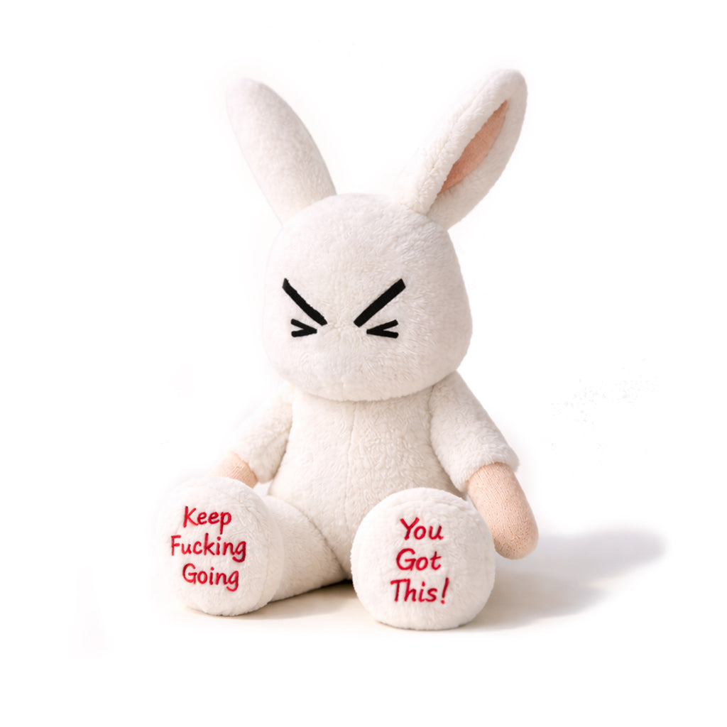 You Got This Emotional Support Bunny Plush