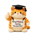 Happy Graduation Orange Cat Plushie