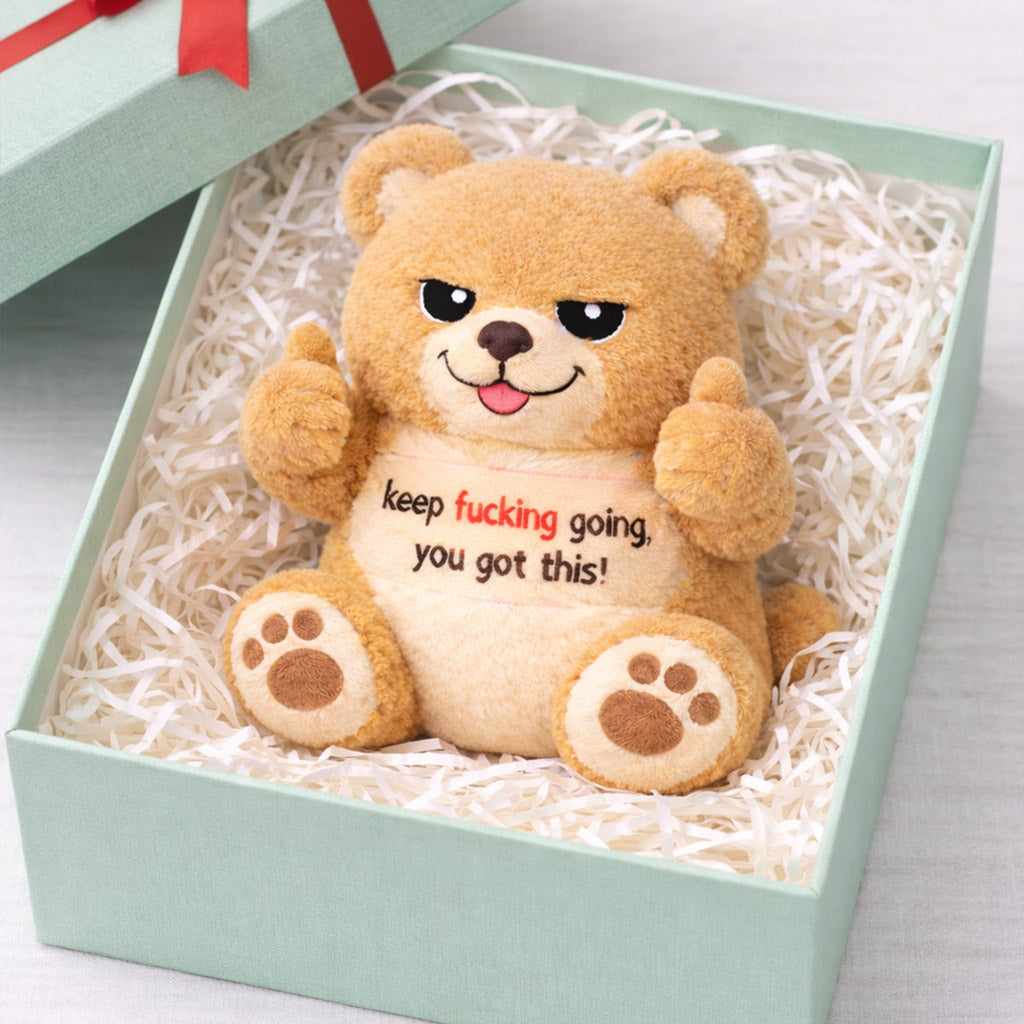 You Got This Emotional Support Brown Bear Plush